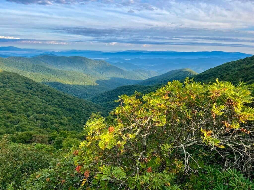 Rolling Blue Ridge Mountains and forested ridges along the Blue Ridge Parkway