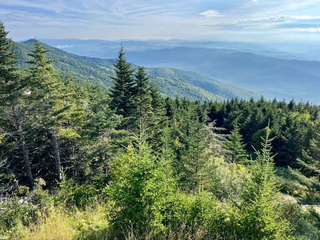 iew from the summit of Mount Mitchell overlooking layered Blue Ridge ridgelines