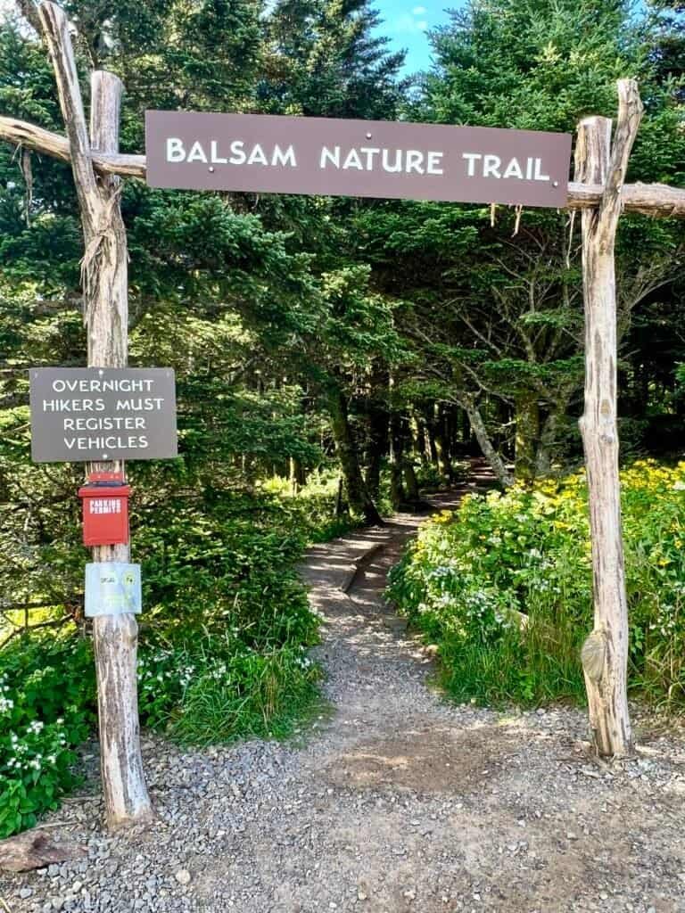 Balsam Nature Trail trailhead near Mount Mitchell, North Carolina