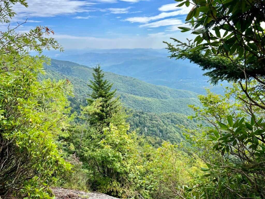 Layered Blue Ridge Mountain views framed by trees along the Buncombe Horse Trail