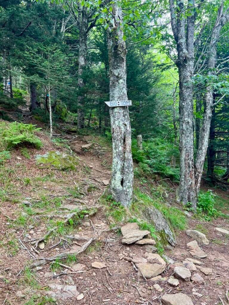 Trail 191A junction marked “Big Tom” along the Mount Mitchell Trail, with rocky footing and forest surroundings.