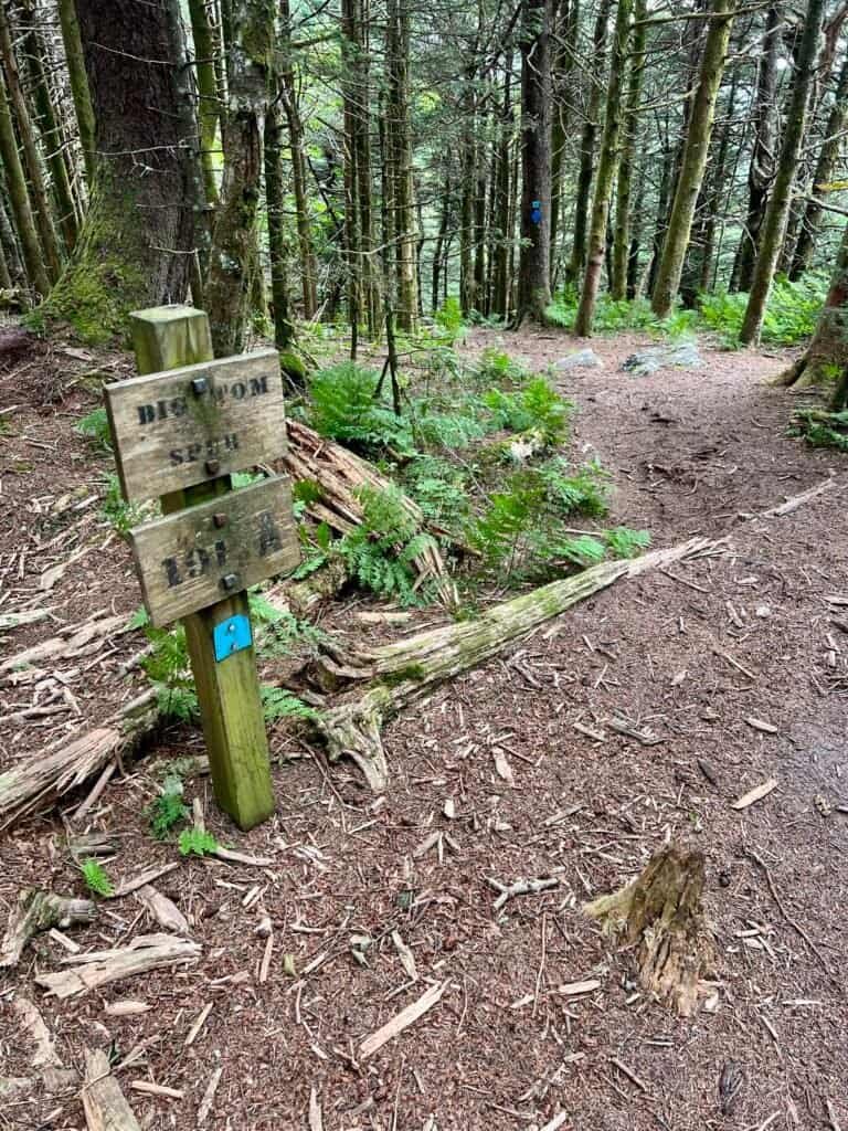 Wooden trail sign marking the top of Trail 191A near Big Tom in Mount Mitchell State Park
