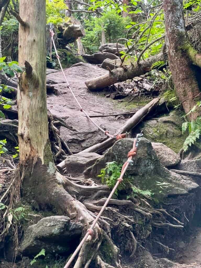 Fixed rope anchored to rock and tree roots on a steep, rocky trail climb