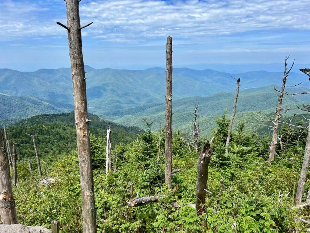 Mountain views from Big Tom summit in the Black Mountains
