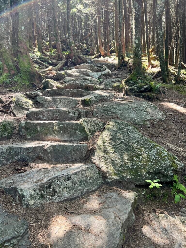 Stone steps climbing through a shaded forest on the final uphill section of the trail