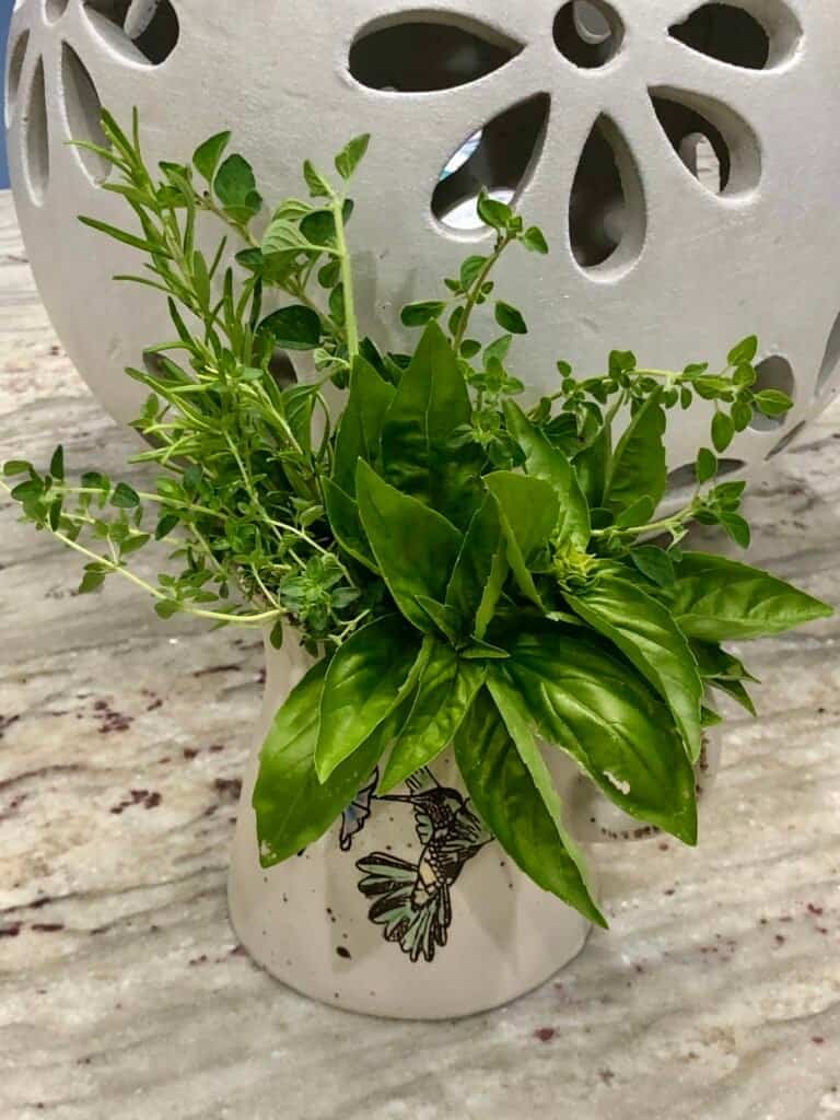 Freshly cut basil and herbs arranged in a small container on the kitchen counter