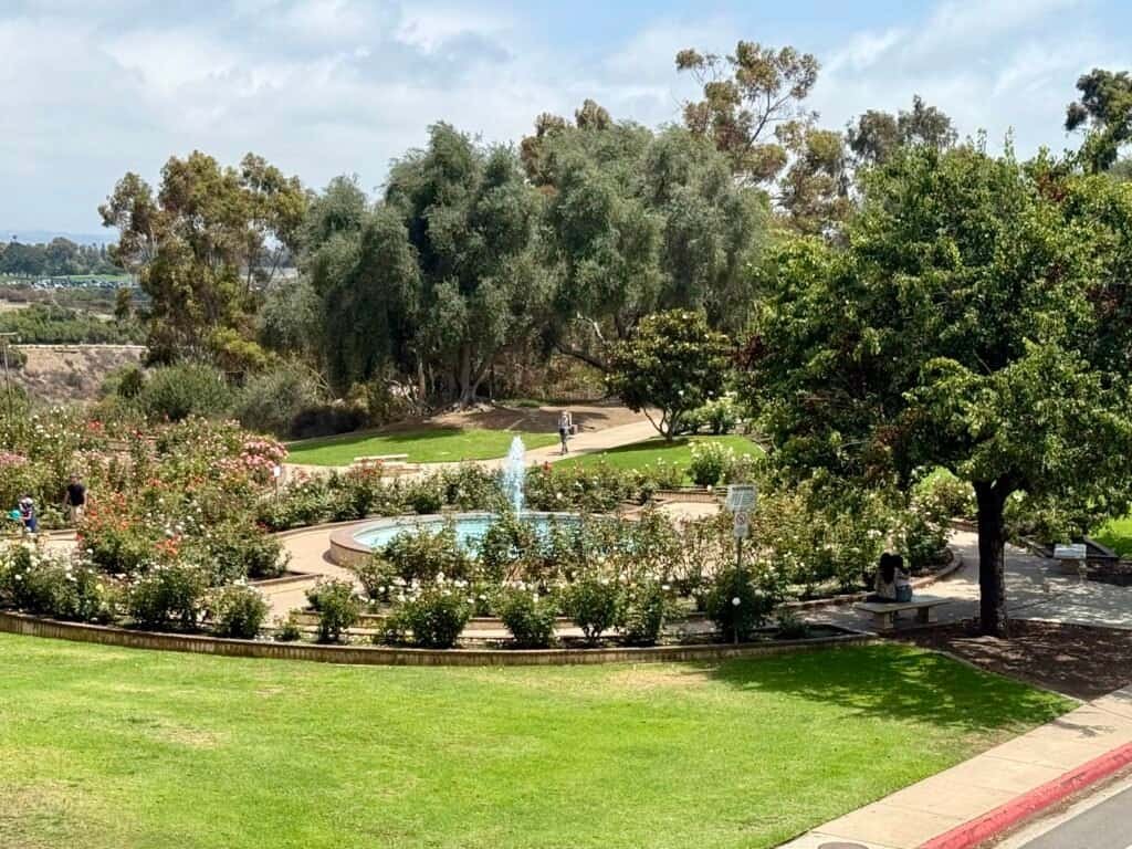 Overlook of the Rose Garden fountain surrounded by blooming roses and walking paths in Balboa Park, San Diego