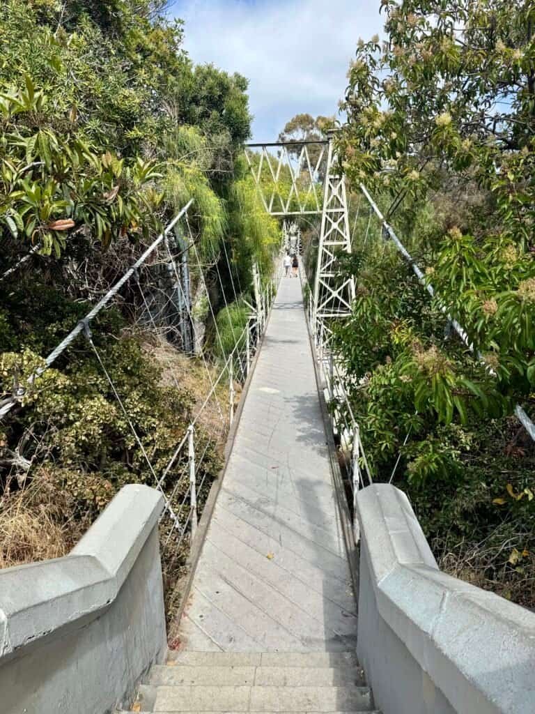 Entrance to the Spruce Street Suspension Bridge, a narrow wooden walkway suspended above Kate Sessions Canyon.