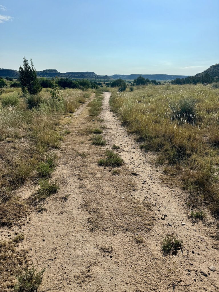 A narrow dirt trail winding through sunlit desert grassland and low shrubs, with distant mesas visible along the horizon on the early stretch of the Black Mesa hike.