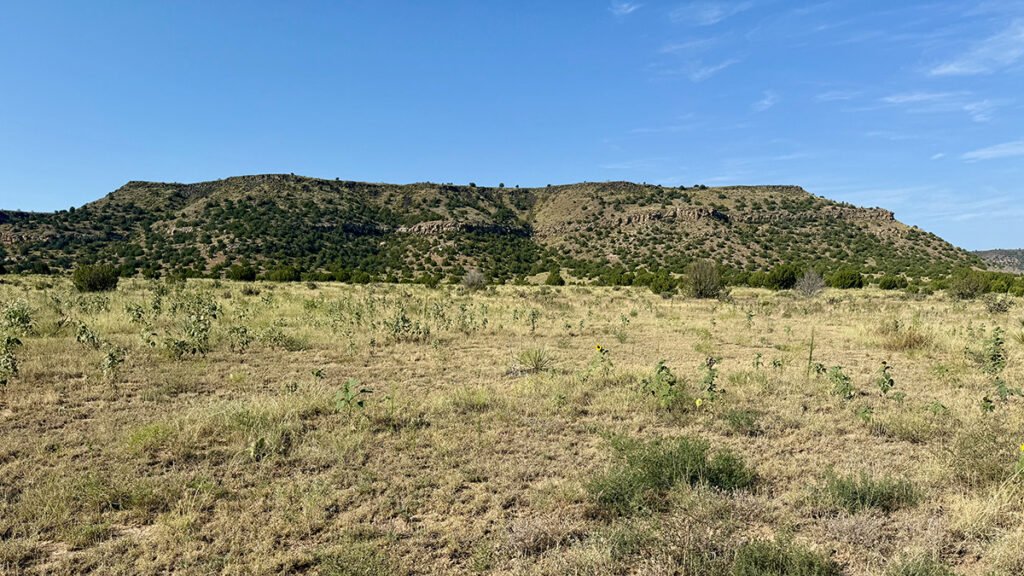 Wide landscape view of Black Mesa in Oklahoma, showing dry grassland in the foreground and a long, flat-topped mesa covered in scattered green shrubs under a clear blue sky.