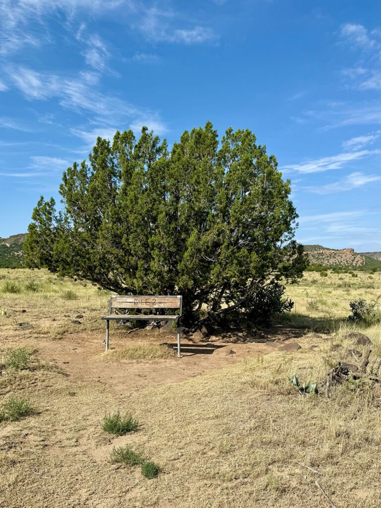 A wooden “Mile 2” bench sits in the shade of a large desert tree along the Black Mesa trail, surrounded by open grassland and clear blue sky.