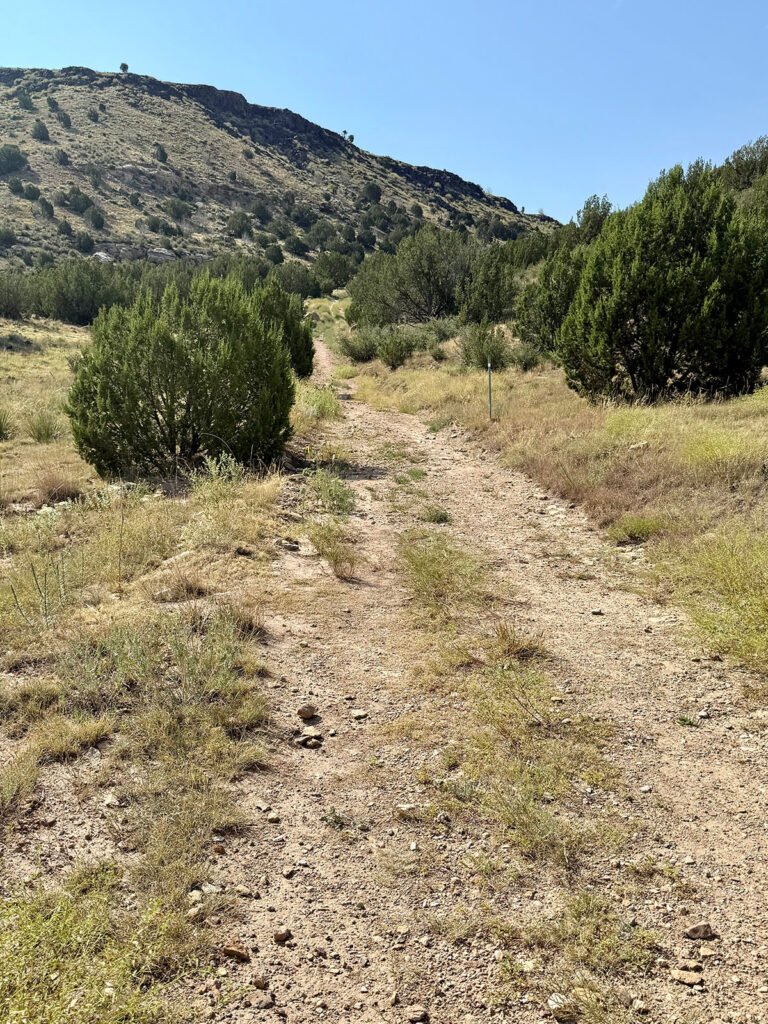 A dirt trail leading toward the base of Black Mesa’s incline, surrounded by desert shrubs and low trees under a bright blue sky.