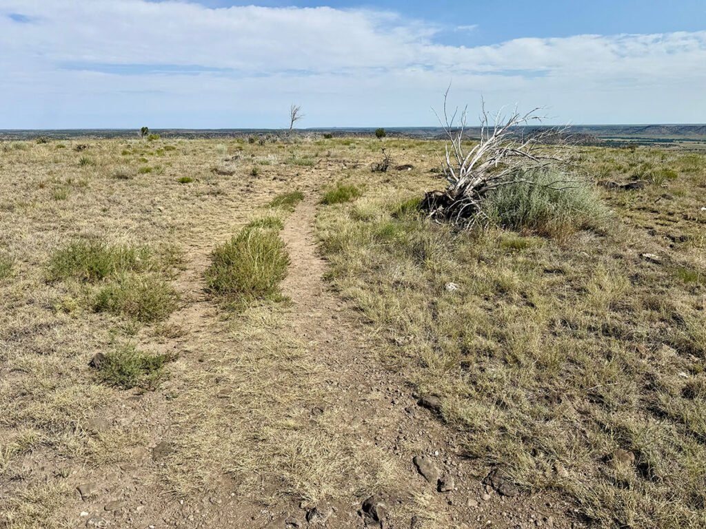 A flat dirt path crossing the top of Black Mesa, surrounded by dry grass, small shrubs, and a fallen tree, with distant views of the surrounding plains.
