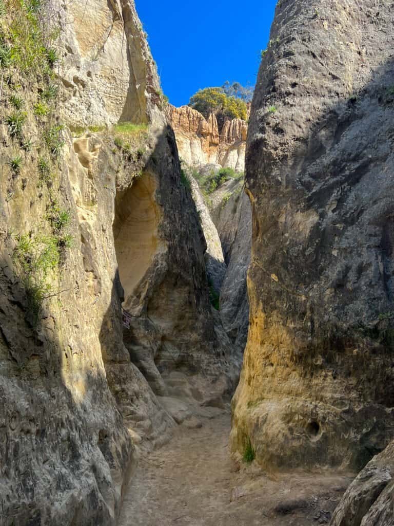 Annie’s Canyon slot narrowing as the walls rise and the trail tightens