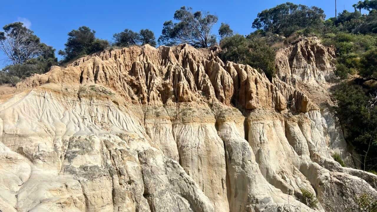 Eroded sandstone cliffs with layered textures along the Annie’s Canyon trail in San Elijo Lagoon, California