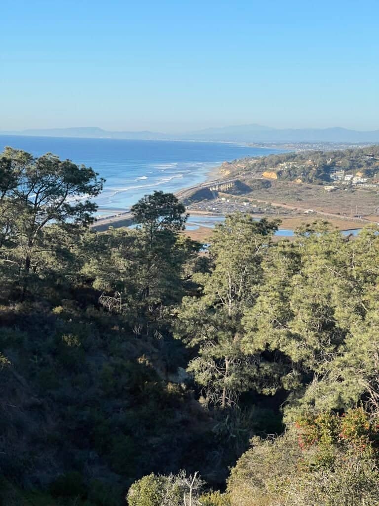 Coastal view from Torrey Pines Road showing the Pacific Ocean, cliffs, and winding shoreline below