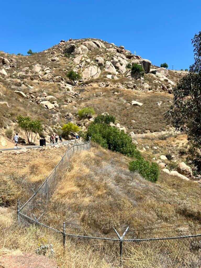 Hikers ascending the hillside trail at Mount Rubidoux Park in Riverside