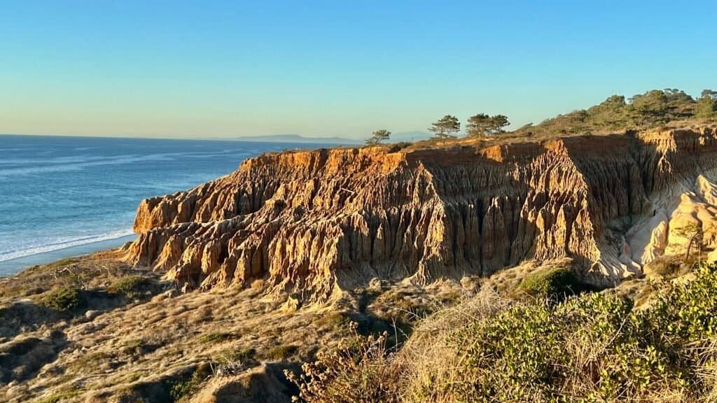 Sandstone cliffs overlooking the Pacific Ocean at Torrey Pines State Natural Reserve in La Jolla, California