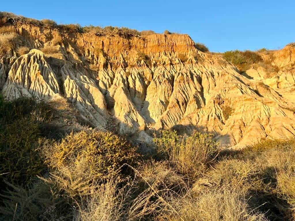 Eroded sandstone cliffs along the Beach Trail at Torrey Pines State Natural Reserve