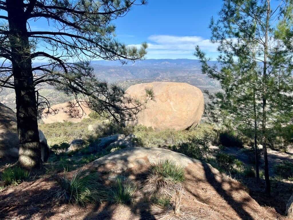 Granite boulders and pine trees near the summit of Mount Woodson with distant mountain views