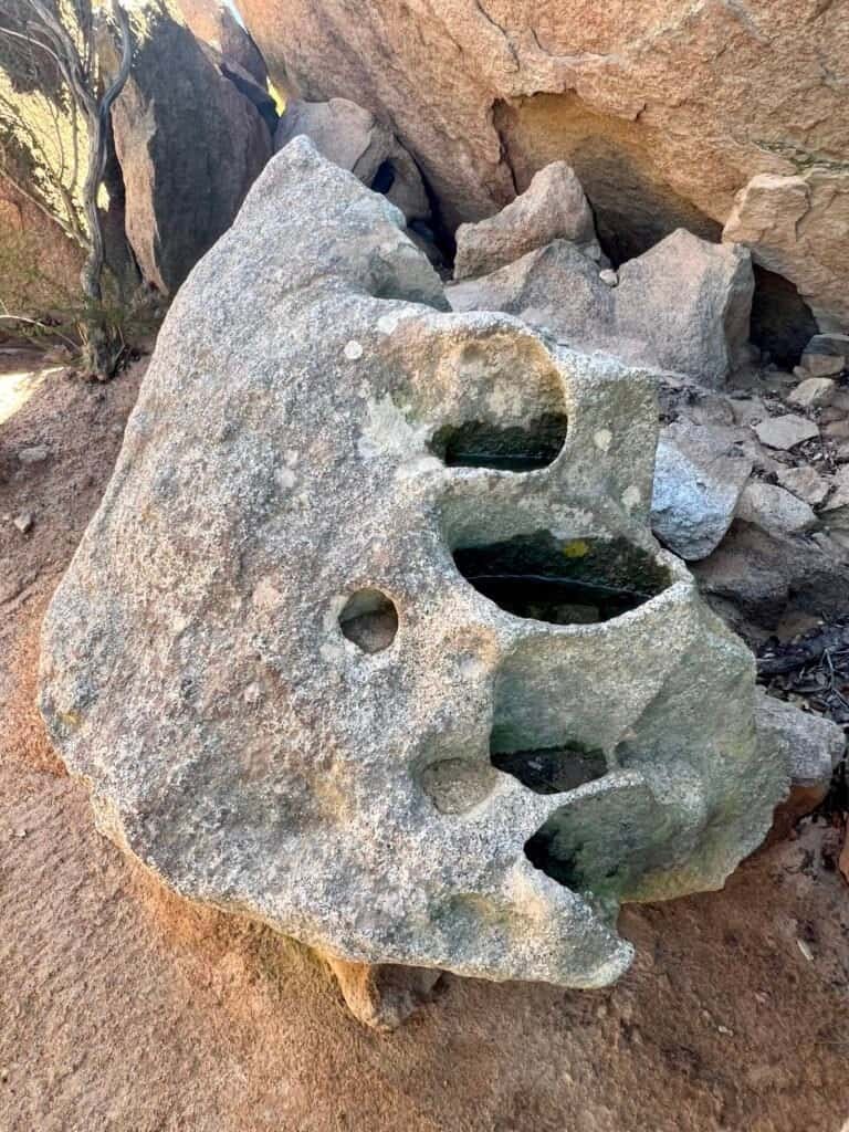 Large fountain-shaped granite boulder along the Mount Woodson trail