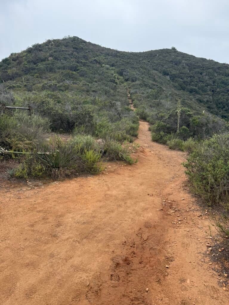 Steep dirt trail climbing toward the summit of Kwaay Paay in Mission Trails