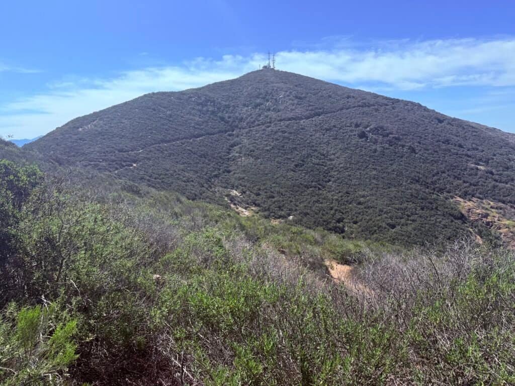 View back toward Cowles Mountain showing the trail carved along the hillside in Mission Trails Regional Park