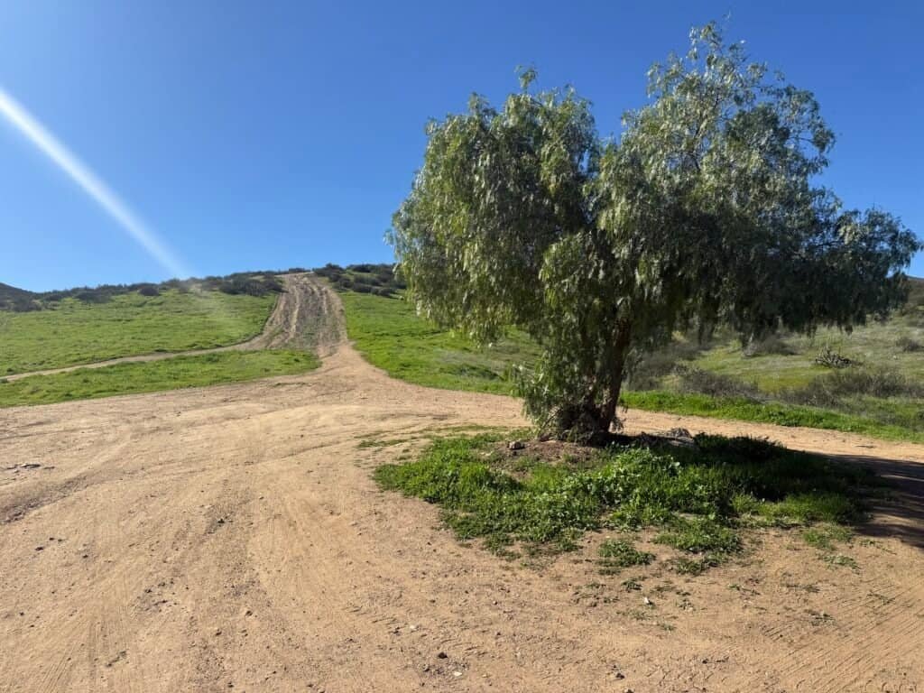 View of the steep first climb rising from the dirt parking area at the trailhead.