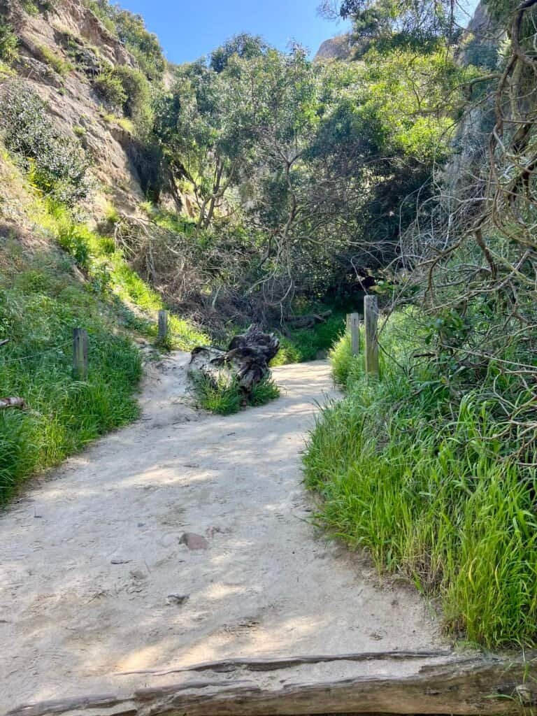 Sandy trail entering Annie’s Canyon as the walls begin to rise on both sides