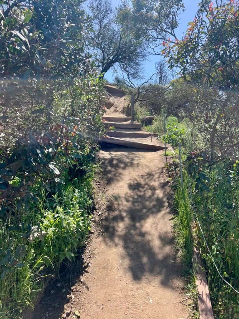 Wooden steps and dirt switchbacks on the moderate route descending from Annie’s Canyon