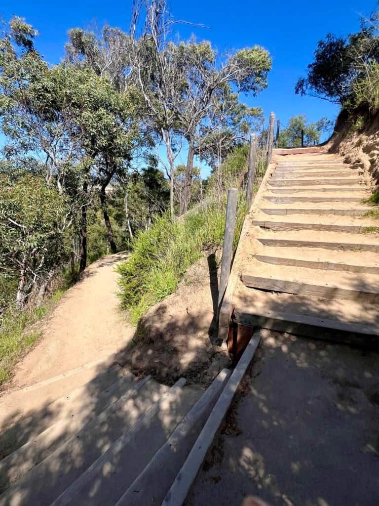 Wide switchbacks on the moderate trail leading down toward the San Elijo Lagoon