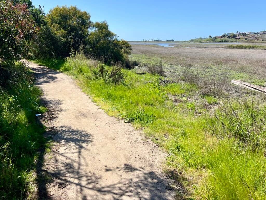 Dirt trail running along the edge of San Elijo Lagoon with open wetlands and blue sky