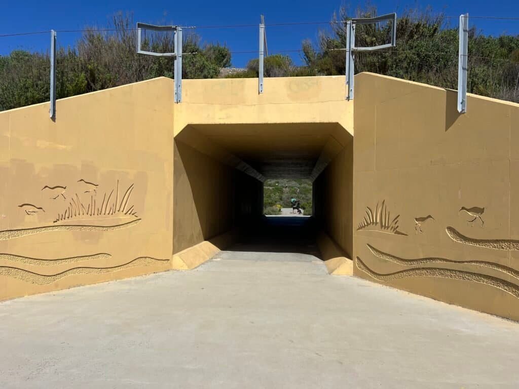 Pedestrian underpass beneath the Amtrak and Coaster train tracks near San Elijo Lagoon