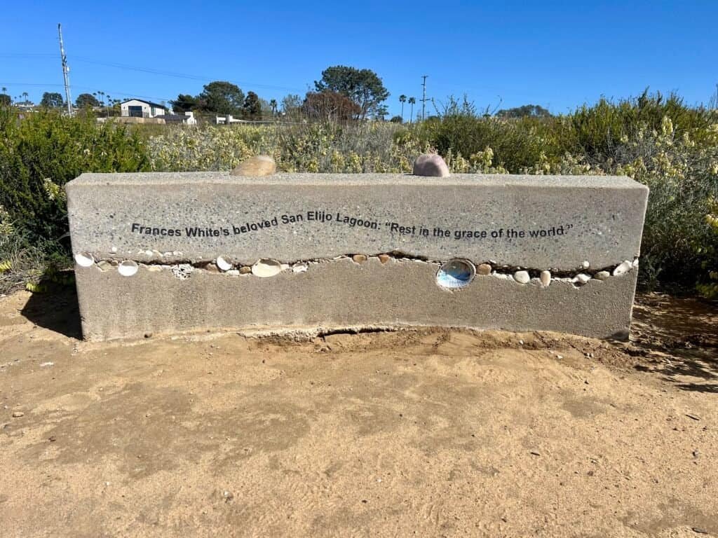 Trail continuing toward Cardiff State Beach after passing under the train tracks