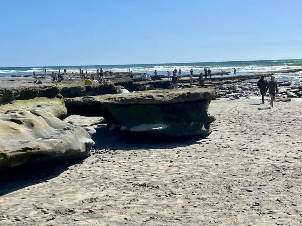 Low-tide rock formations exposed along the shoreline, with people exploring tide pools in the distance.