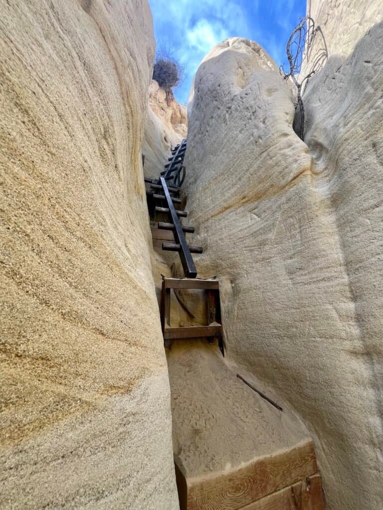 Metal ladders climbing through the narrow sandstone walls of Annie’s Canyon
