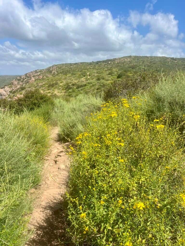 South Fortuna summit visible in the distance beyond the plateau at Mission Trails Regional Park.