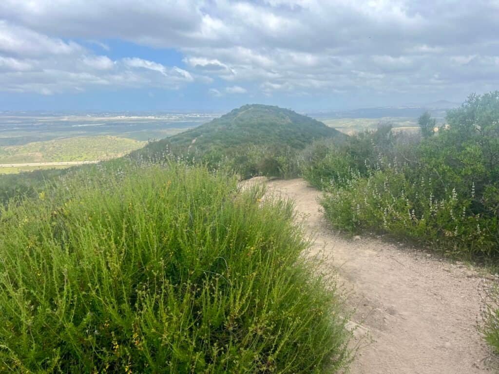 Hiking trail through lush green hills and wildflowers, perfect for outdoor adventure and exploring nature.