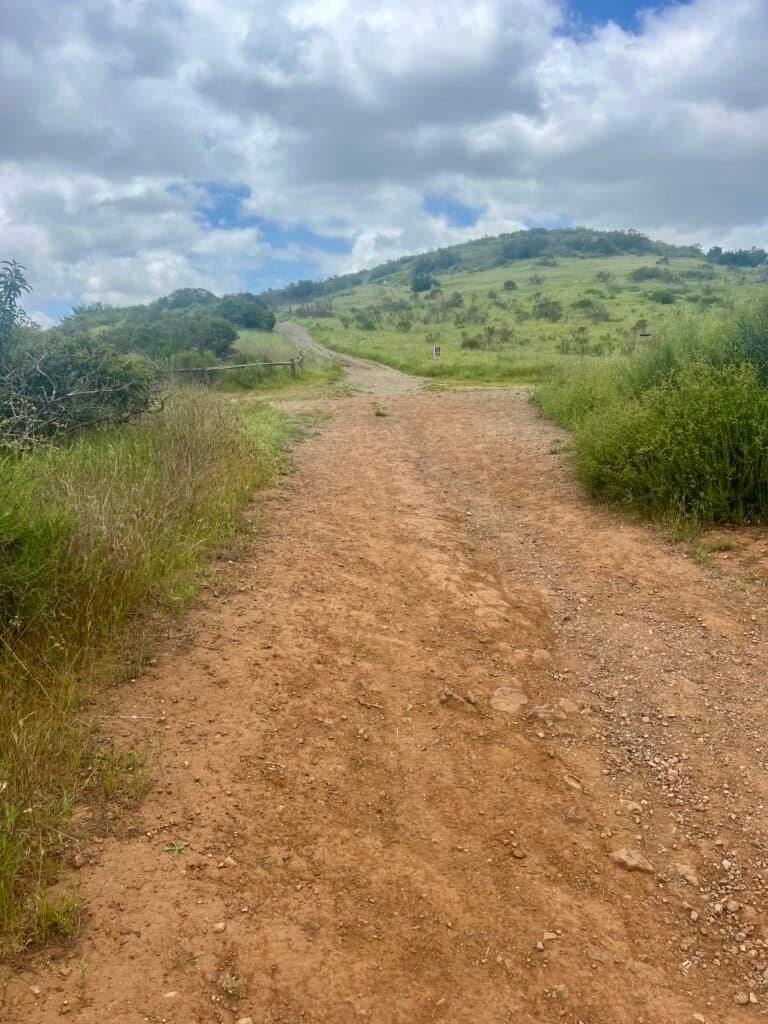 Approaching the Rim Trail junction during the descent from North Fortuna