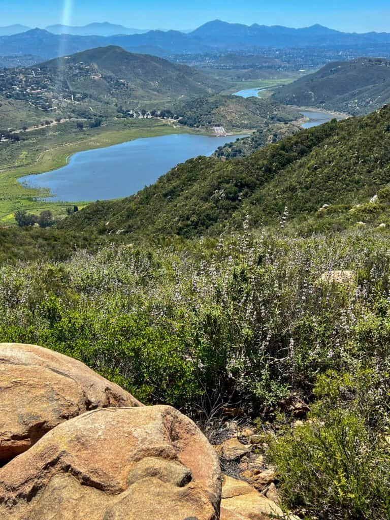 Lake Hodges viewed from the Lake Hodges Overlook in Elfin Forest Recreational Reserve, Escondido, California