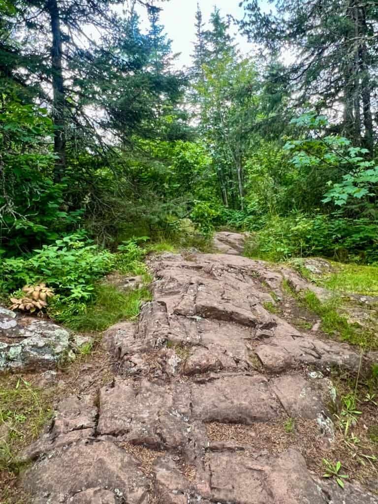 Rocky path climbing uphill toward the Eagle Mountain summit through thick forest.