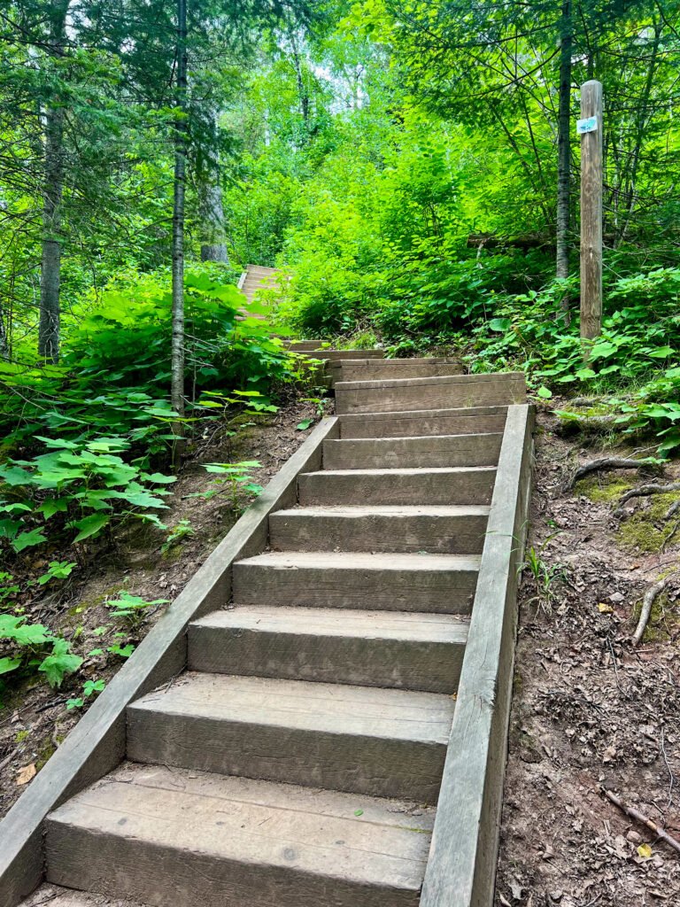 Steep wooden staircase descending toward Two Step Falls in Tettegouche State Park.