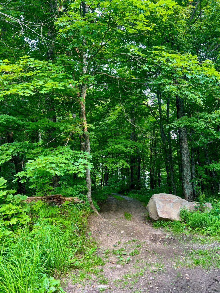 Forest path from Mount Arvon parking area heading toward the scenic overlook in Michigan’s Upper Peninsula.