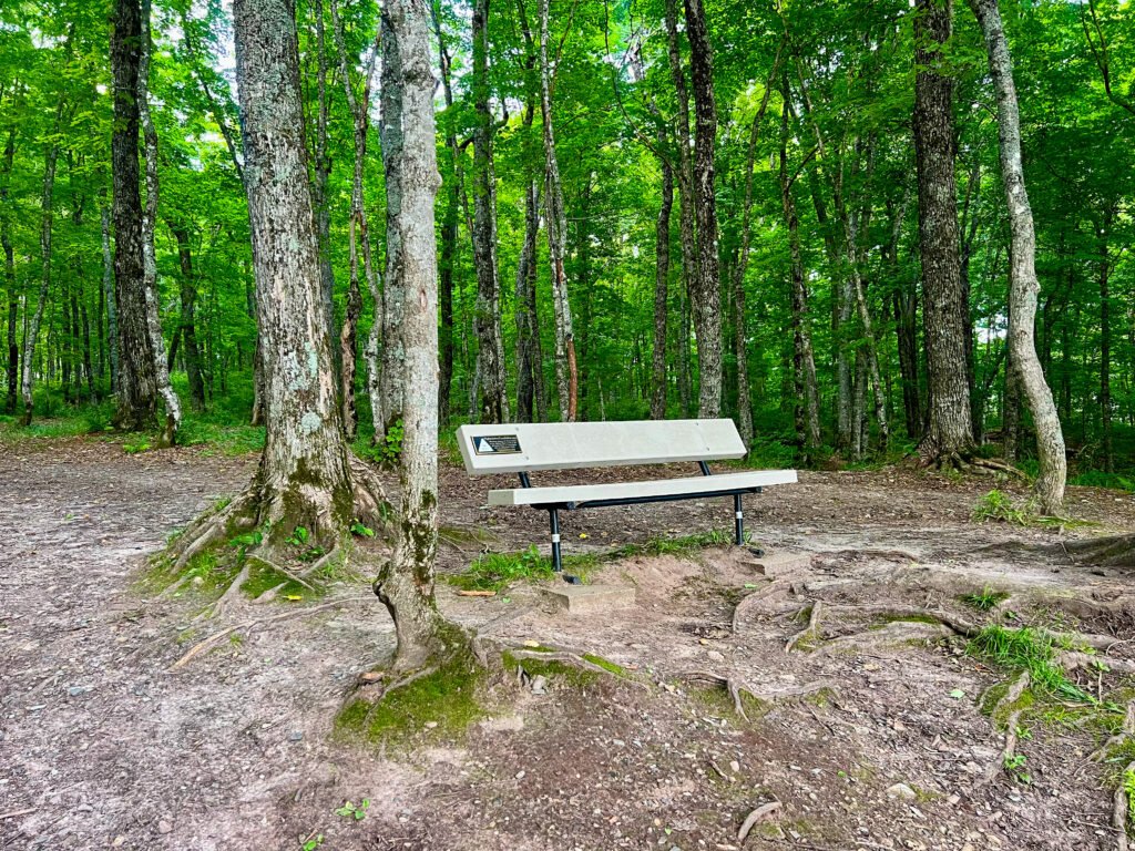 Alt Text (Highpointers Foundation Bench): Highpointers Foundation memorial bench at the Mount Arvon overlook surrounded by dense Upper Peninsula forest.