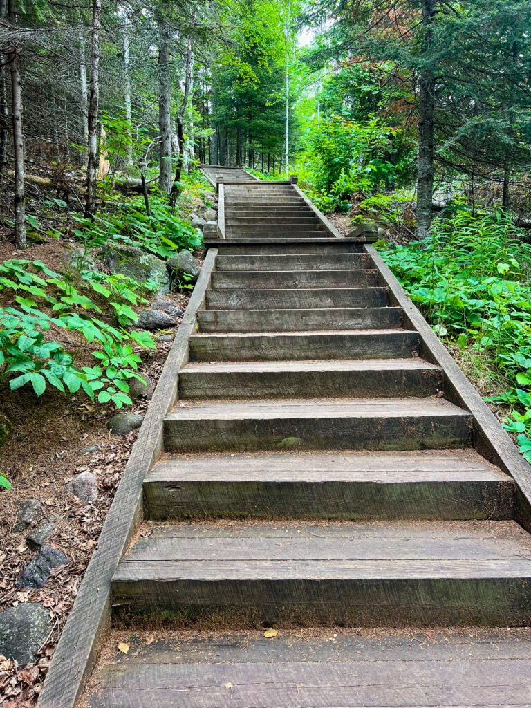 Steep wooden staircase climbing through forest along a hiking trail at Tettegouche State Park.