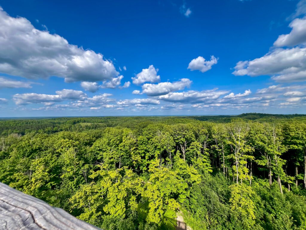 Expansive forest views from the top of Timms Hill fire tower in Wisconsin.