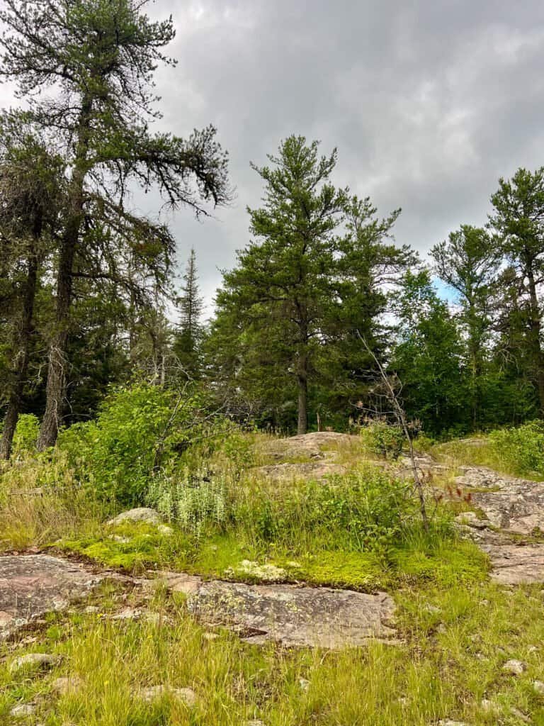 Rocky clearing near the Eagle Mountain summit with a small cairn beneath tall pine trees in the Boundary Waters.