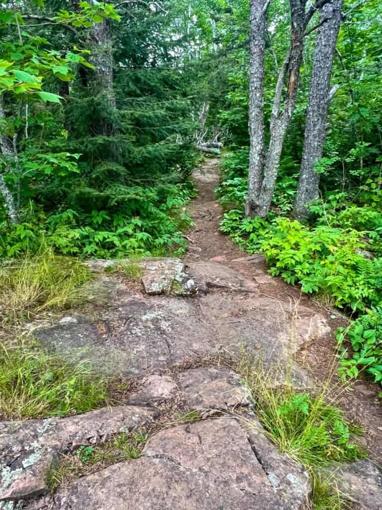 Narrow trail leaving exposed rock and entering dense forest near the Eagle Mountain summit route.