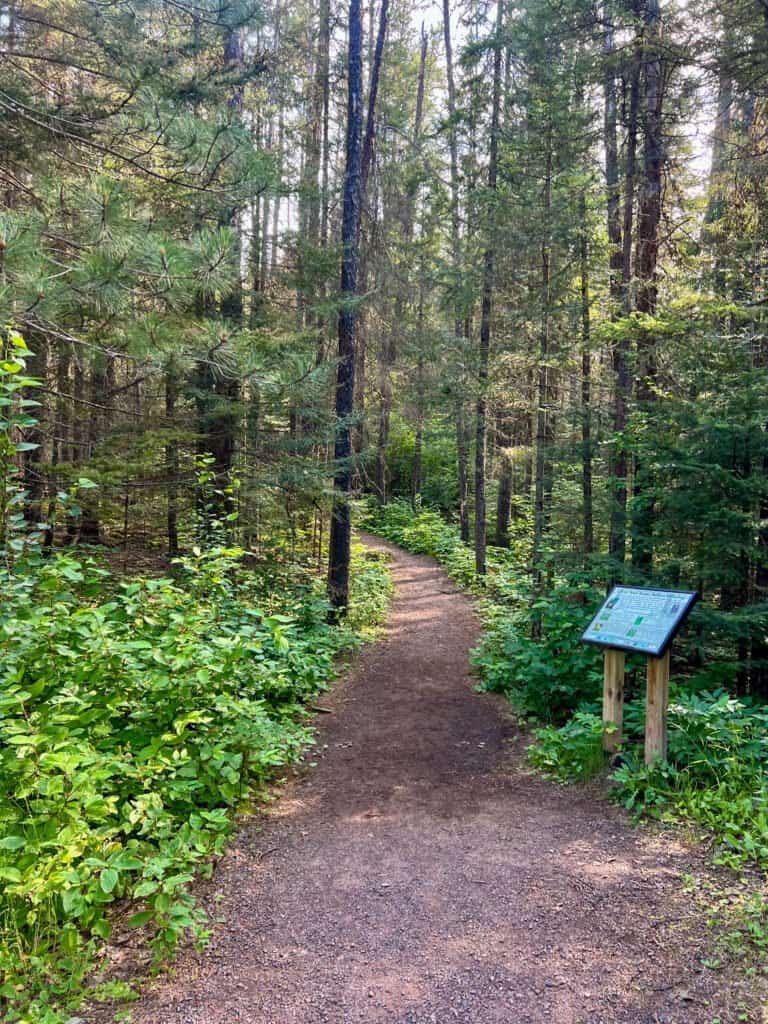 Narrow dirt trail beginning at the Eagle Mountain trailhead, leading into dense forest in northeastern Minnesota.