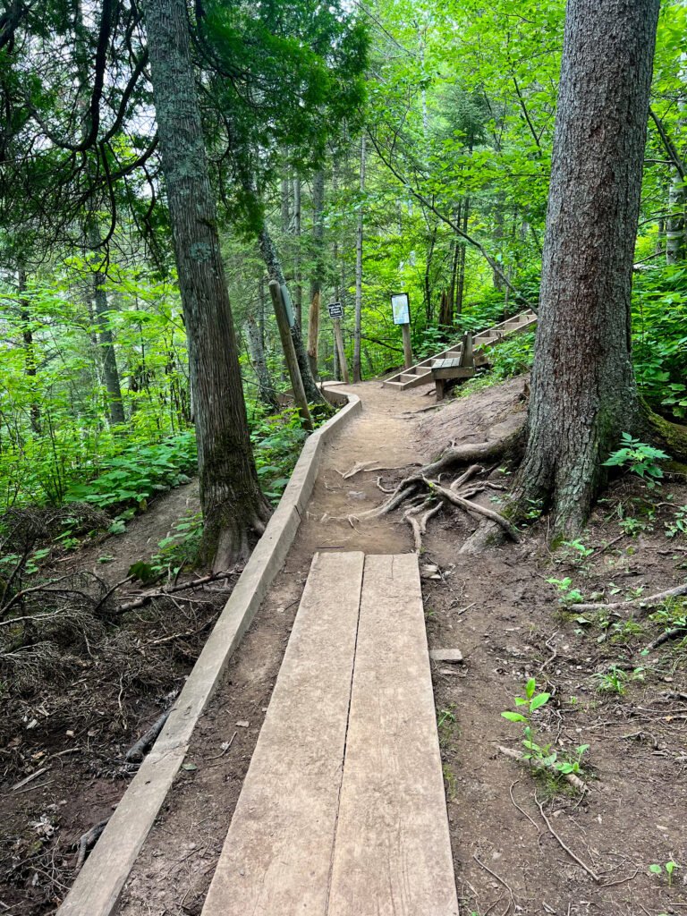 Trail junction near High Falls with stairs leading toward the bottom and the brink in Tettegouche State Park.